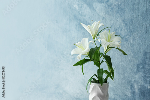 Beautiful white lilies on light background photo
