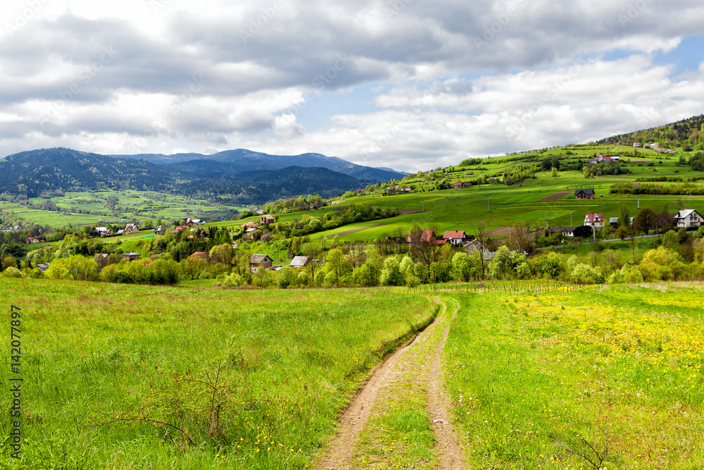 Springtime landscape in the mountain Springtime landscape in the mountain