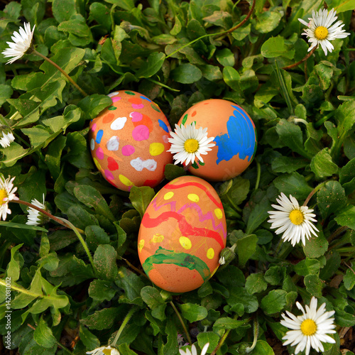 High angle view of Easter colored eggs with flowers 