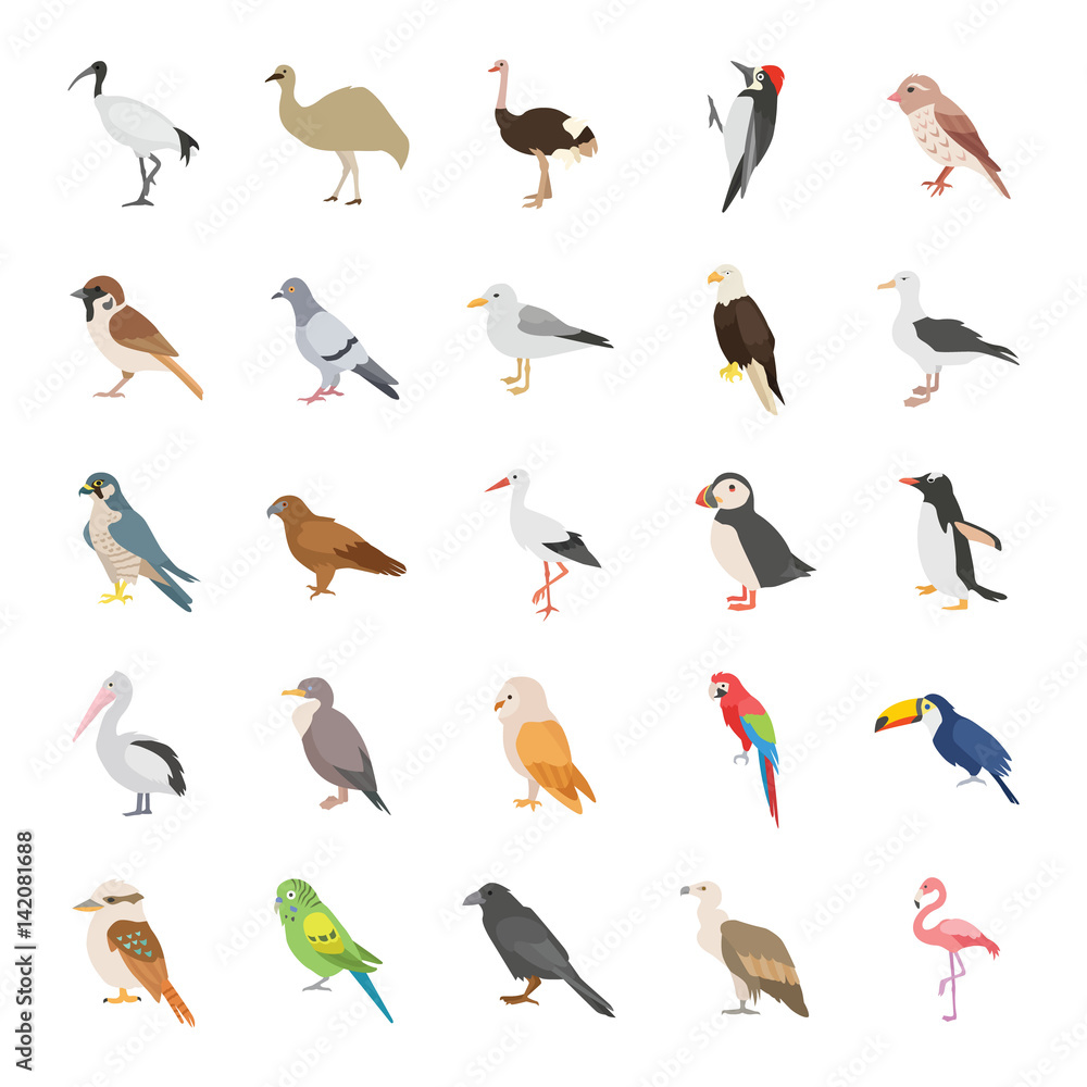 Birds color vector icons - obrazy, fototapety, plakaty 