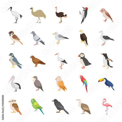 Birds color vector icons photo