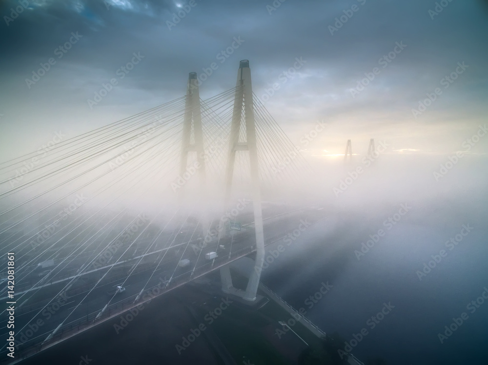 Fototapeta premium The bridge in the fog. St. Petersburg.