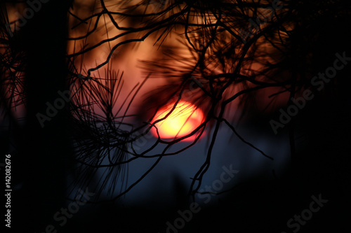 Unfocused sunset