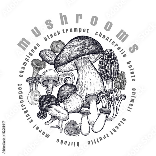 Mushrooms in a circle.