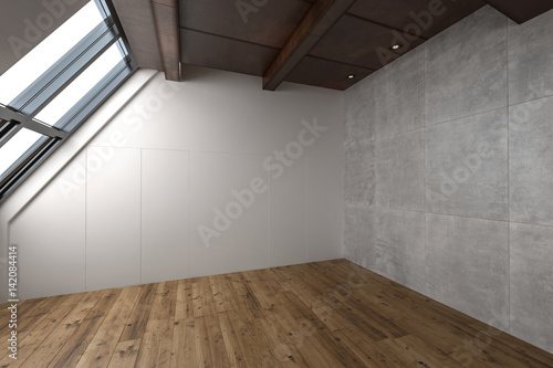 One large empty contemporary attic apartment