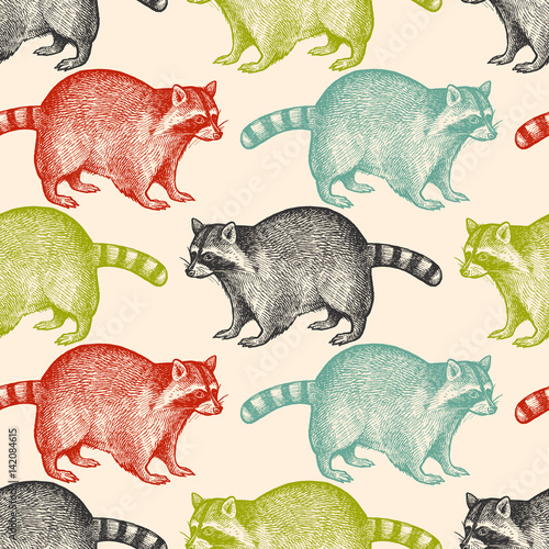 Seamless pattern with animal Raccoon.