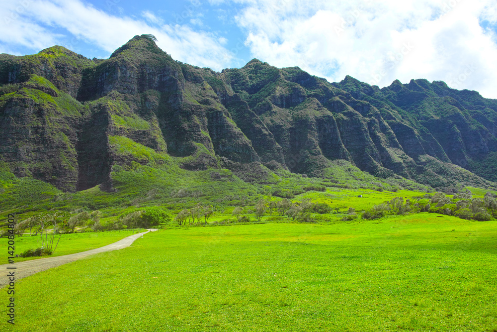 Fototapeta premium クアロアランチの風景