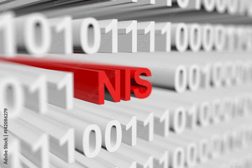 NIS as a binary code with blurred background 3D illustration