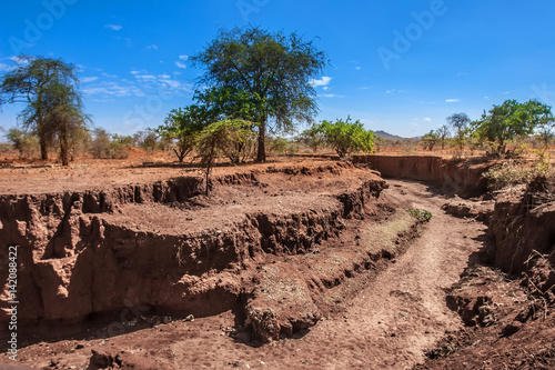 The dried up river. Drought in Africa. photo