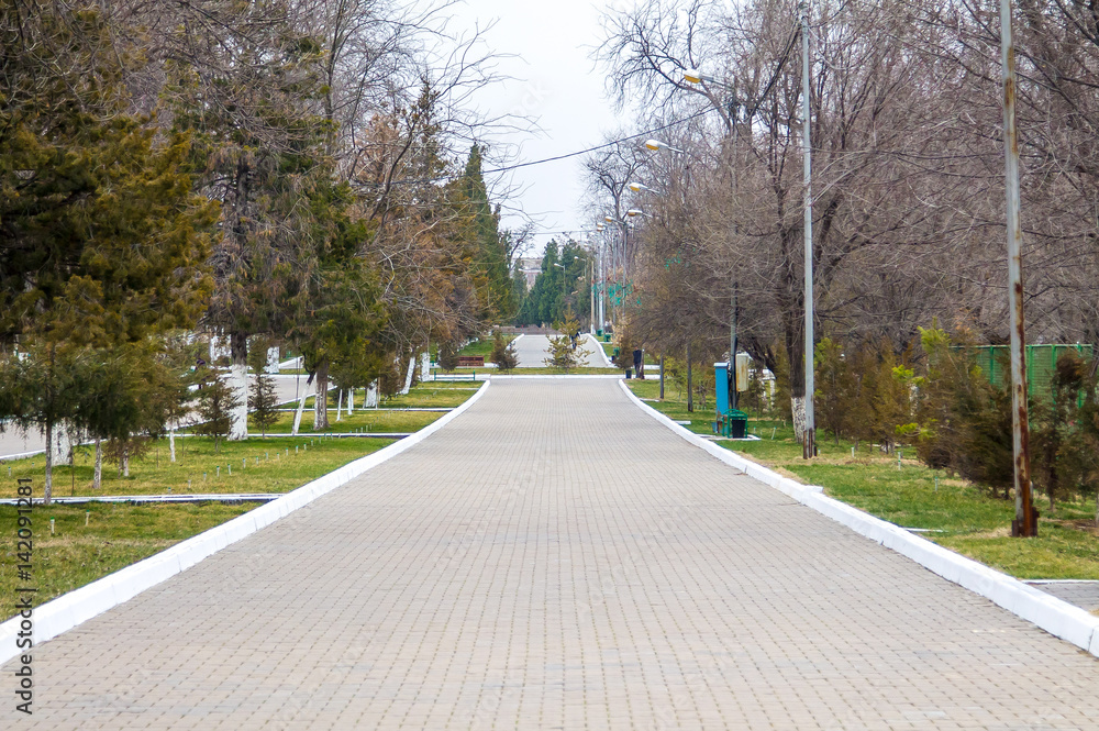 Alley in the park