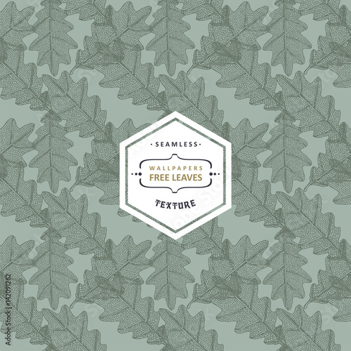 Floral seamless pattern with tree leaves. Maple, Elm, Oak, Aspen textured leaves.