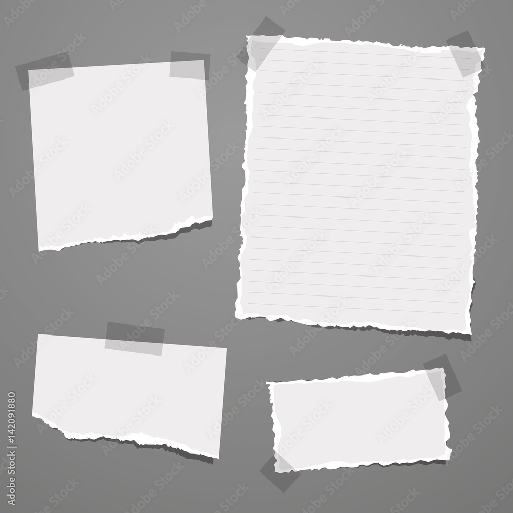Vector Illustration of Note Papers Vector Illustration of Note Papers