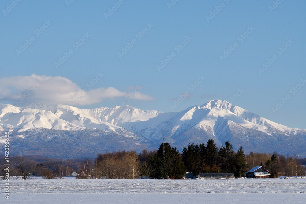 Obraz premium 冬の富良野岳