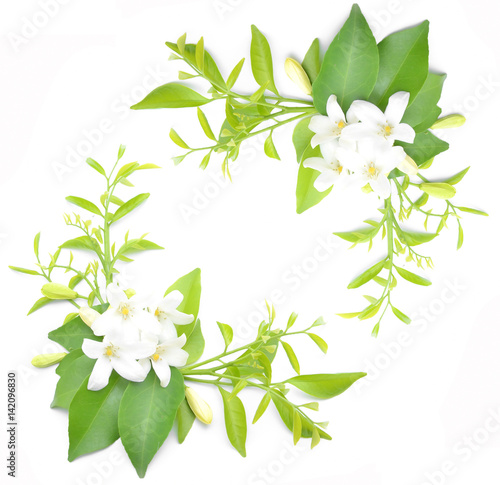 Quadro em tela White flowers are arranged to look beautiful.