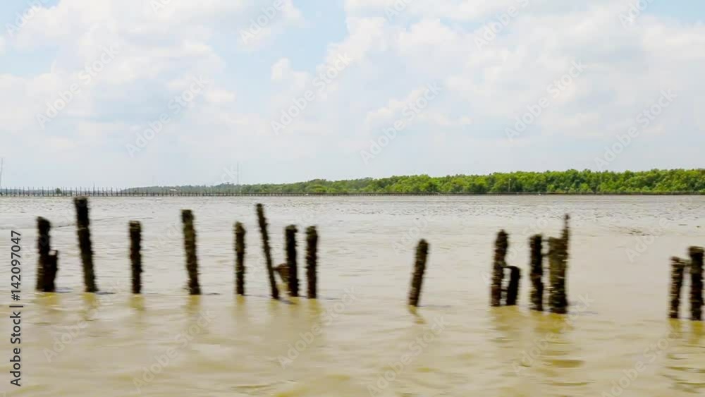 view of river near Mangrove forest in thailand by boat ride view of river near Mangrove forest in thailand by boat ride