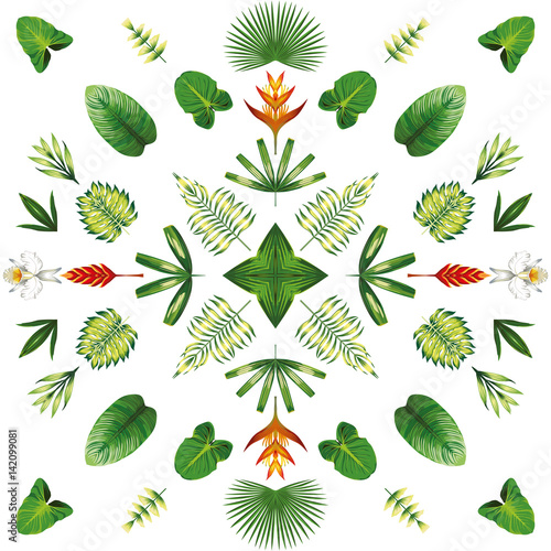 symmetric geometric tropical flowers and leaves white background