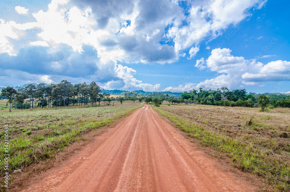 A road in the countryside - spring and early summer.. A road in the countryside - spring and early summer..