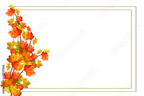 autumn leaves isolated on white background.