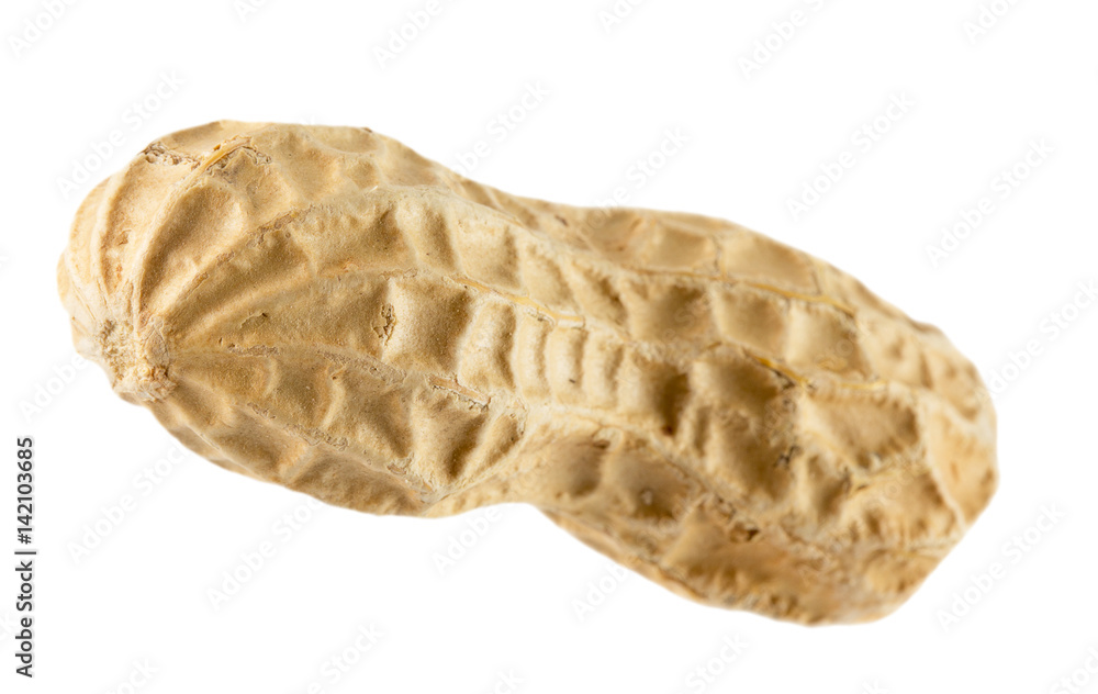 peanut in shell isolated on a white background