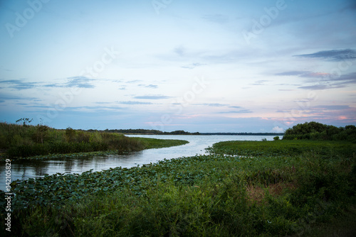 Swamp Landscape Florida 