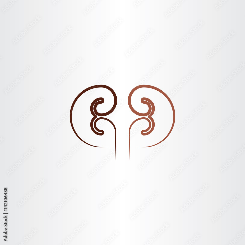 Fototapeta premium kidney line icon vector design element