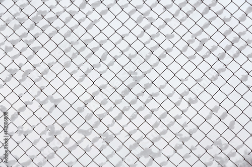 The white background is a snow-covered lattice.