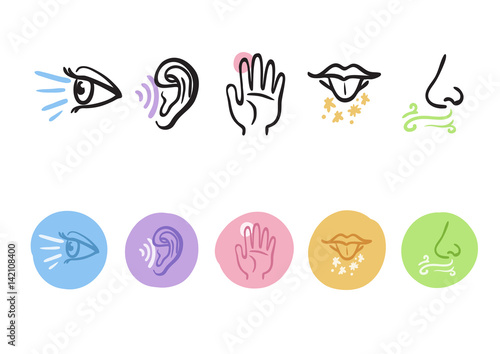 Hand drawn icons representing the five senses photo