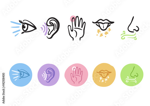Hand drawn icons representing the five senses