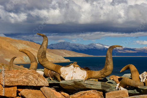 Sacred Lake Manasarovar photo