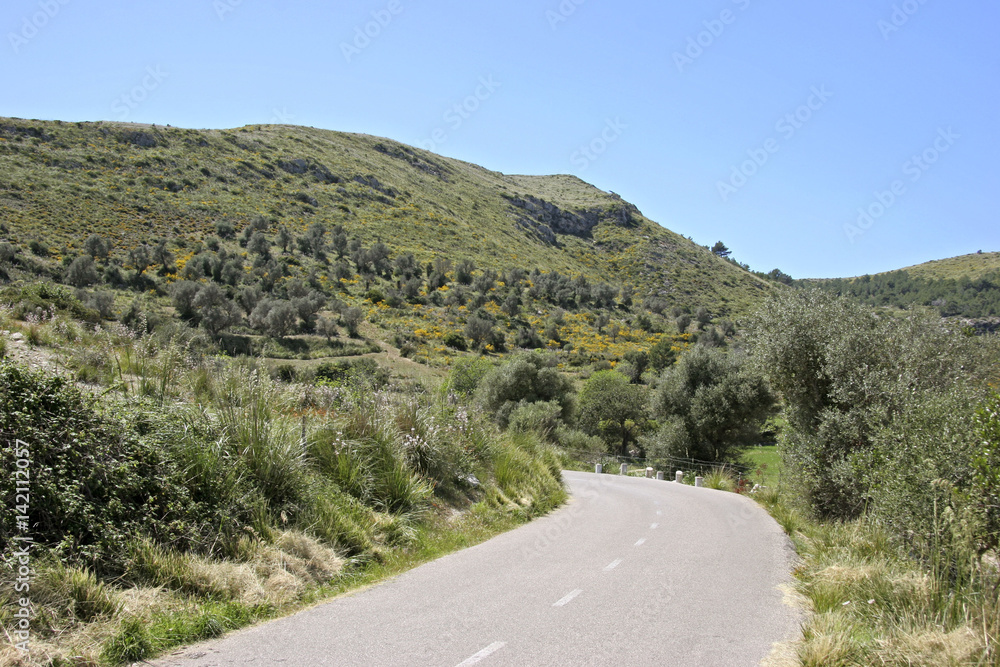 Country road in Landscape at Arta, Mallorca, Balearic Islands, Spain, Europe