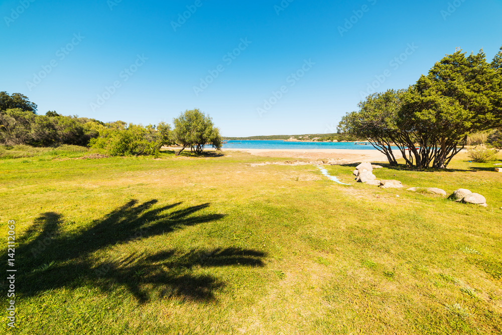 Obraz premium Palm shadow in Liscia di Vacca shoreline