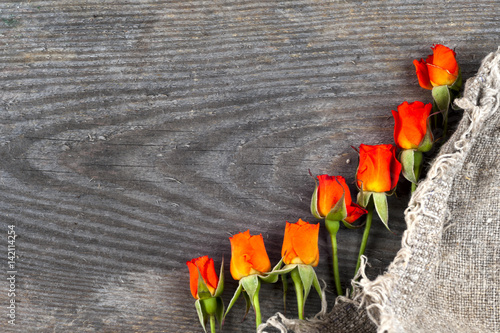 red roses on wooden board, Valentines Day background photo