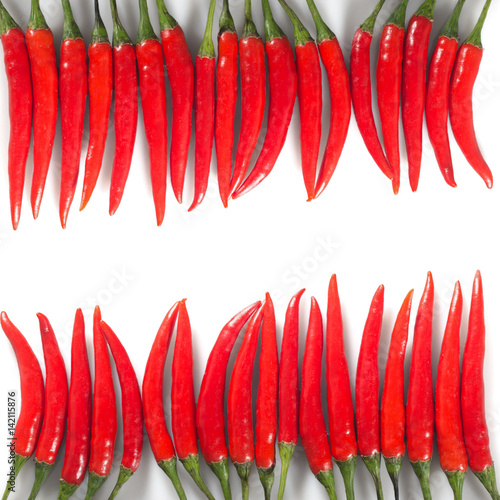 Two rows of red chili peppers