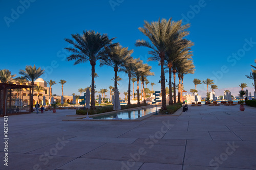 Wakacje w Egipcie. Palmy w ekskluzywnym hotelu przy basenie © rogozinski