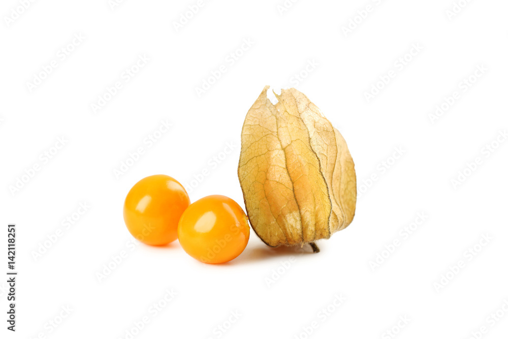Ripe physalis isolated on a white background Ripe physalis isolated on a white background