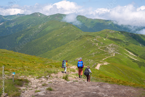 Fototapeta Travelers with backpacks are walking down the ridge