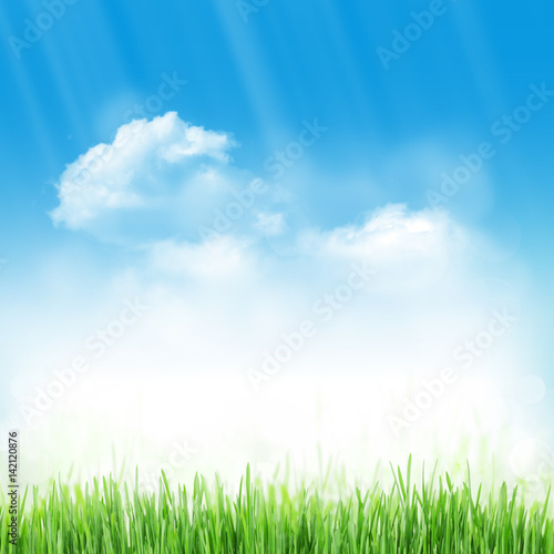 Abstract sunny spring background