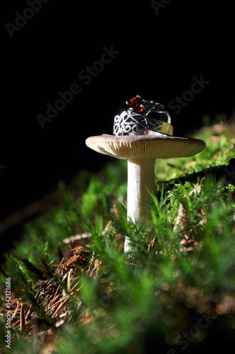 Wedding rings on the mushroom photo