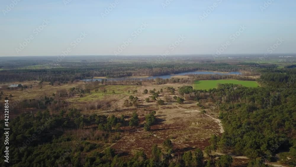 Aerial: Flying over a pine forest with a big lake and meadow fields Aerial: Flying over a pine forest with a big lake and meadow fields