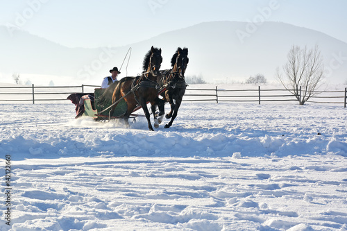 man with sledge pulled by horses outdoor in winter