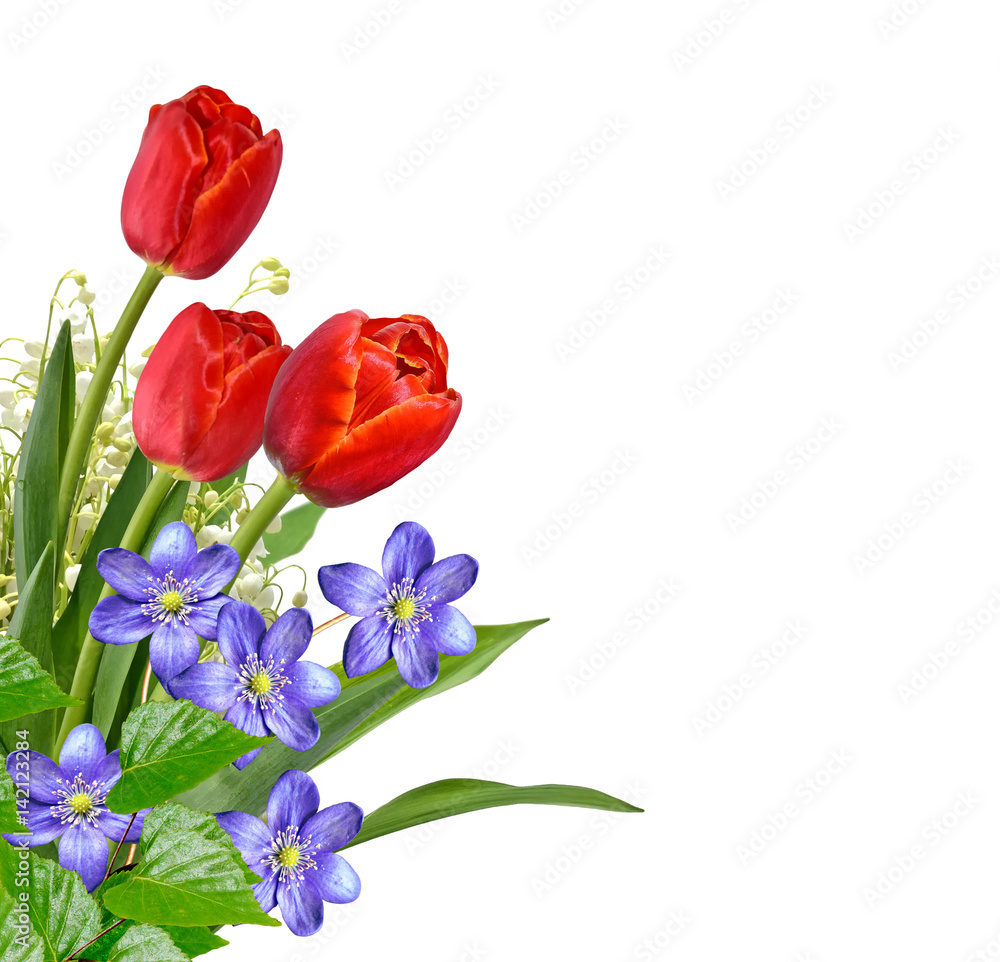 The branch of lilies of the valley flowers isolated on white background The branch of lilies of the valley flowers isolated on white background