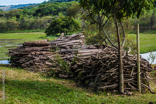 Firewood on the farm in Minas Gerais, Brazil © Hugo