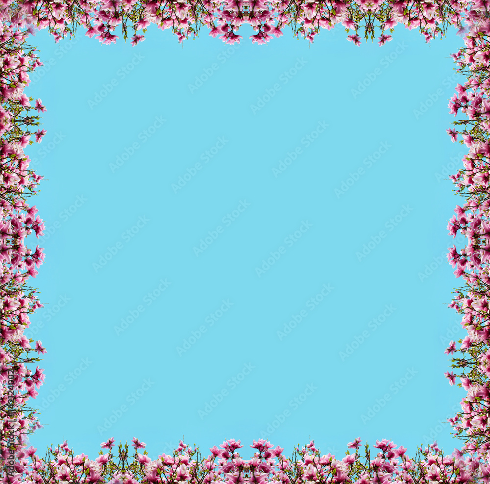 Beautiful natural background with flower magnolia for greetings (frame, postcard, spring, menu, wedding invitation, love - concept). Beautiful natural background with flower magnolia for greetings (frame, postcard, spring, menu, wedding invitation, love - concept).