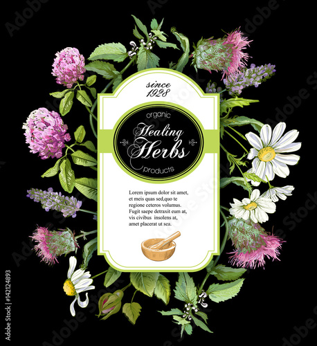 Vector herbal frame