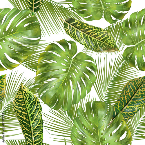 Vector tropical seamless pattern with monstera and croton leaves. Exotic design for cosmetics, spa, health care products. Can be used as wedding or summer background. Best for wallpaper, fabric