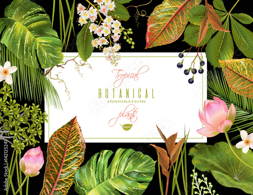 Tropial plants banner