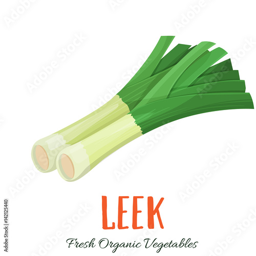 Vector leek vegetable
