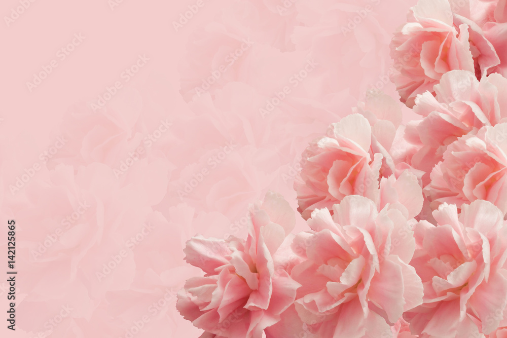 Greeting Card. Bouquet of Carnations on a pink background. Mother's day. Greeting Card. Bouquet of Carnations on a pink background. Mother's day.