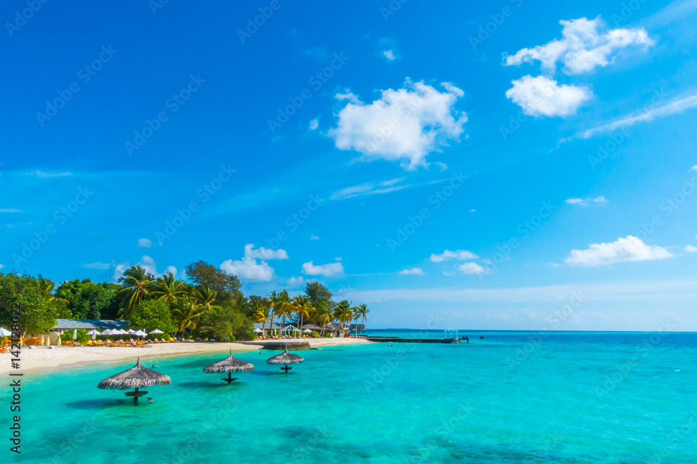 Beautiful tropical Maldives island with white sandy beach and sea .