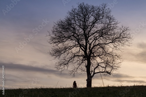Woman alone under the tree during sunset. Slovakia